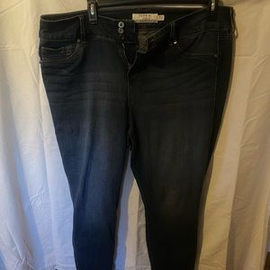 Torrid Skinny Jeans